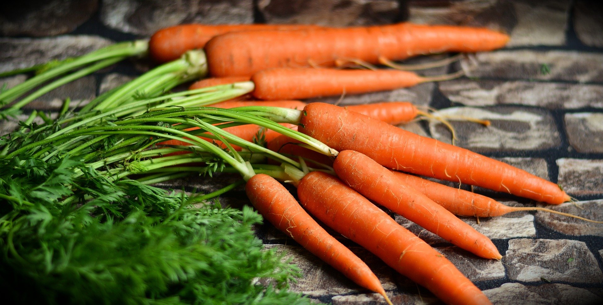 Comment les carottes peuvent aider à mieux comprendre la nomenclature CPV dans les marchés publics